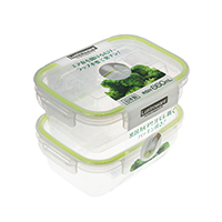 Plastic Microwave Box (Green Lid)